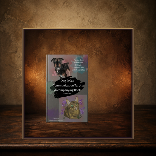 The Familiar’s Correspondence — Animal Communication Tarot Guide displayed on the approved antique plaster and walnut table