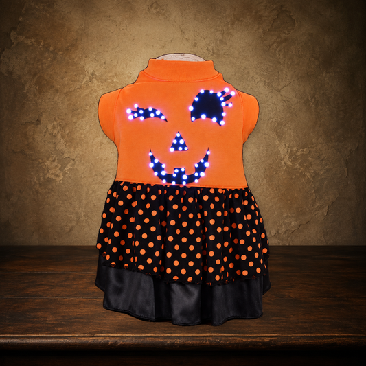 The Electric Séance Light-Up Dog Dress on the approved antique plaster and walnut backdrop