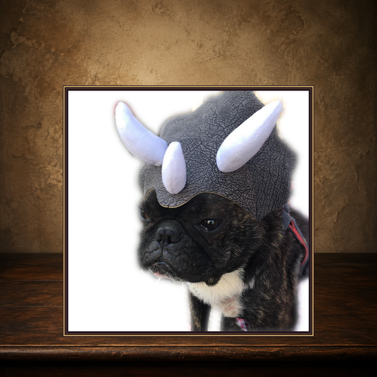 The Triceratops Transformation Cap displayed on the approved antique plaster and walnut table