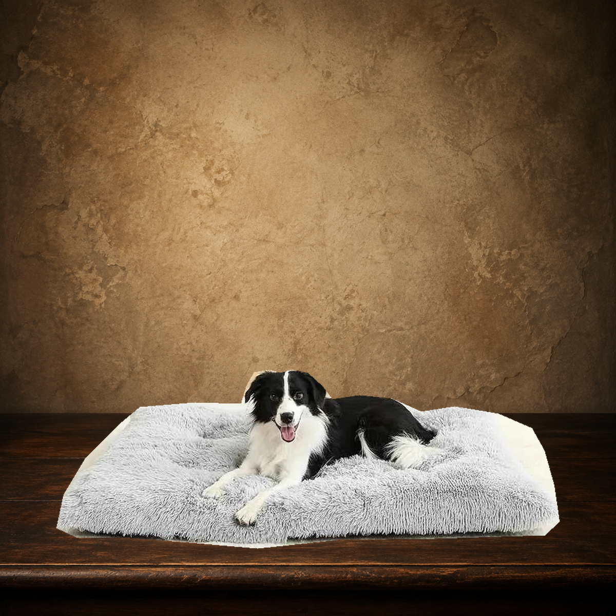 The Commoner’s Nest — Plush Pet Sofa displayed on the approved antique plaster and walnut table