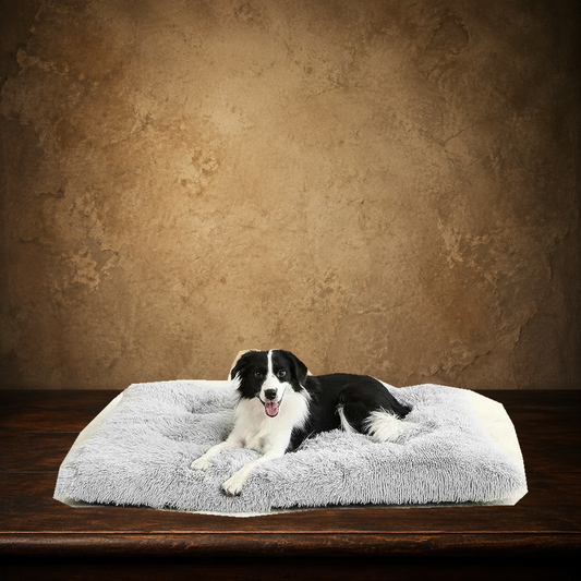 The Commoner’s Nest — Plush Pet Sofa displayed on the approved antique plaster and walnut table