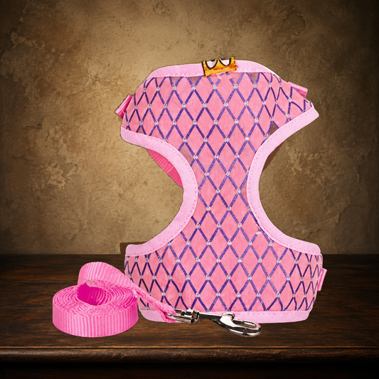 The Rhinestone Rambler — Harness & Leash Set displayed on the approved antique plaster and walnut table