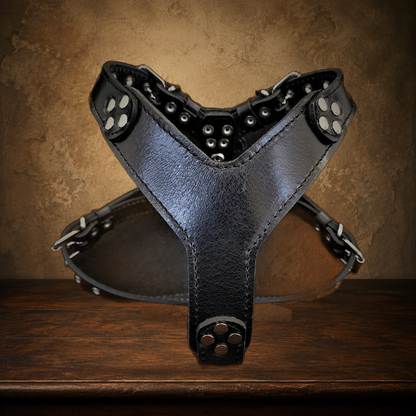 The Black Club Harness — Italian Leather displayed on the approved antique plaster and walnut table