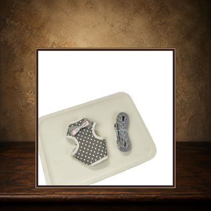 The Everyday Plaid Walking Harness displayed on the approved antique plaster and walnut table