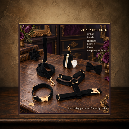 The Midnight Velvet Walking Set displayed on the approved antique plaster and walnut table