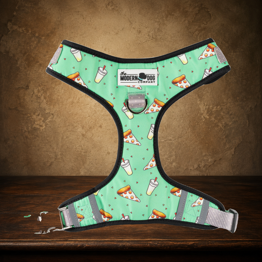 The Midnight Slice — Pizza Party Dog Harness displayed on the approved antique plaster and walnut table
