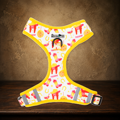 The Disco Cowgirl — Yeehaw Dog Harness on the approved antique plaster and walnut backdrop