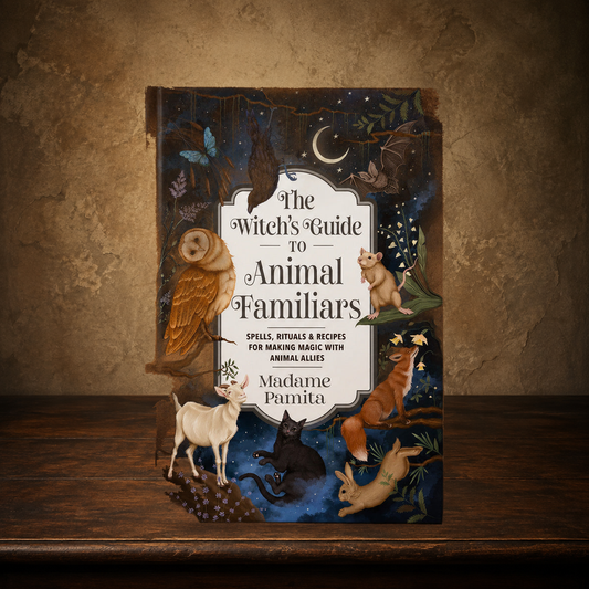 The Familiar’s Grimoire — A Witch’s Guide to Animal Allies displayed on the approved antique plaster and walnut table