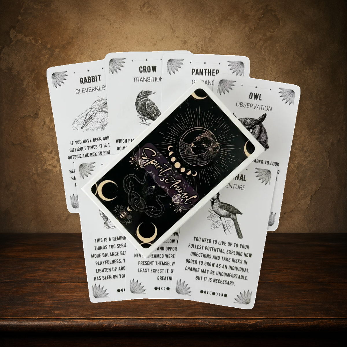 The Wild Familiar — Spirit Animal Oracle on the approved antique plaster and walnut backdrop