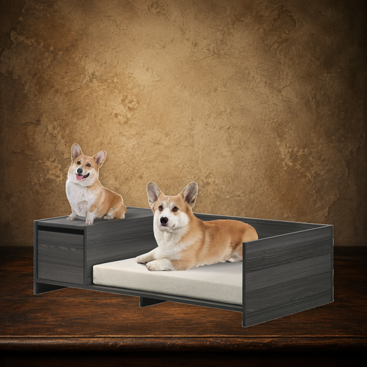 The Governess’s Daybed — Storage Pet Bed on the approved antique plaster and walnut backdrop