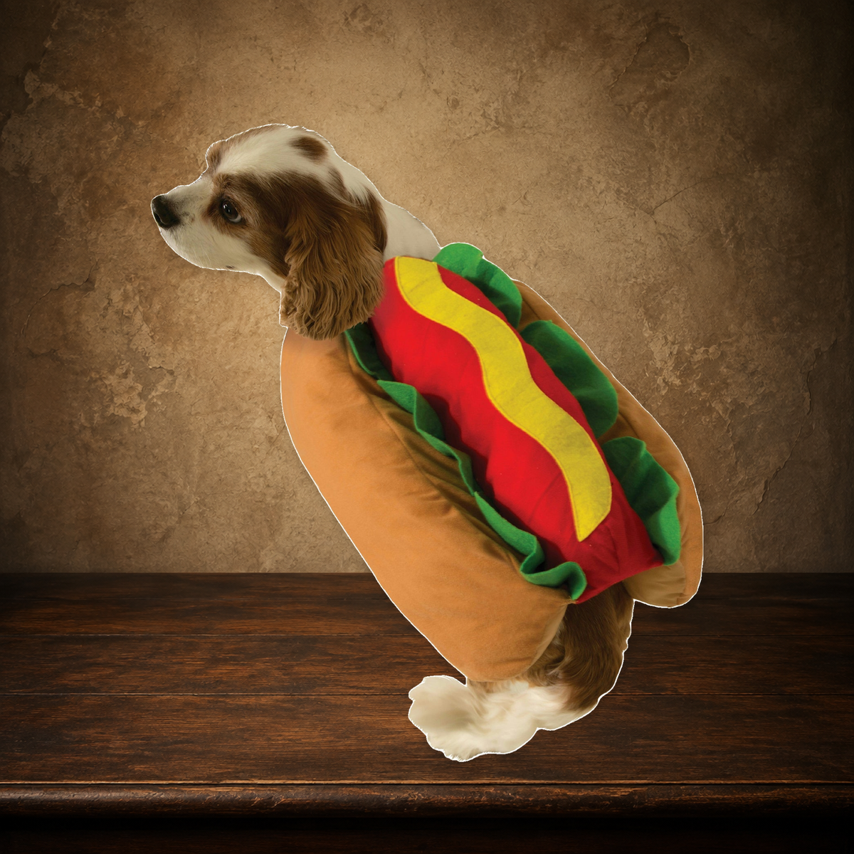 The Little Frankfurter — Hot Dog Costume on the approved antique plaster and walnut backdrop