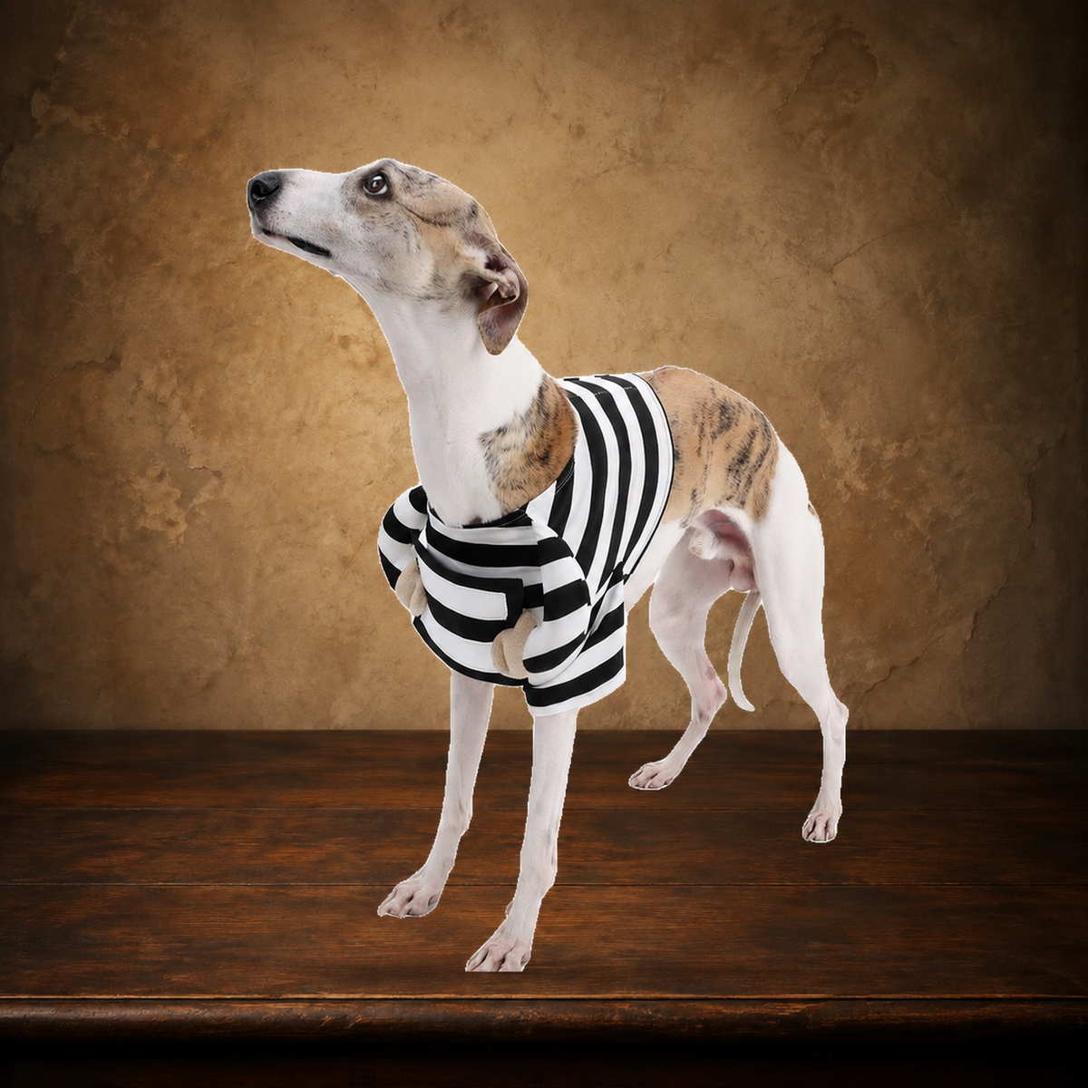 The Striped Mischief — Dog Halloween Costume displayed on the approved antique plaster and walnut table