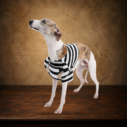 The Striped Mischief — Dog Halloween Costume displayed on the approved antique plaster and walnut table