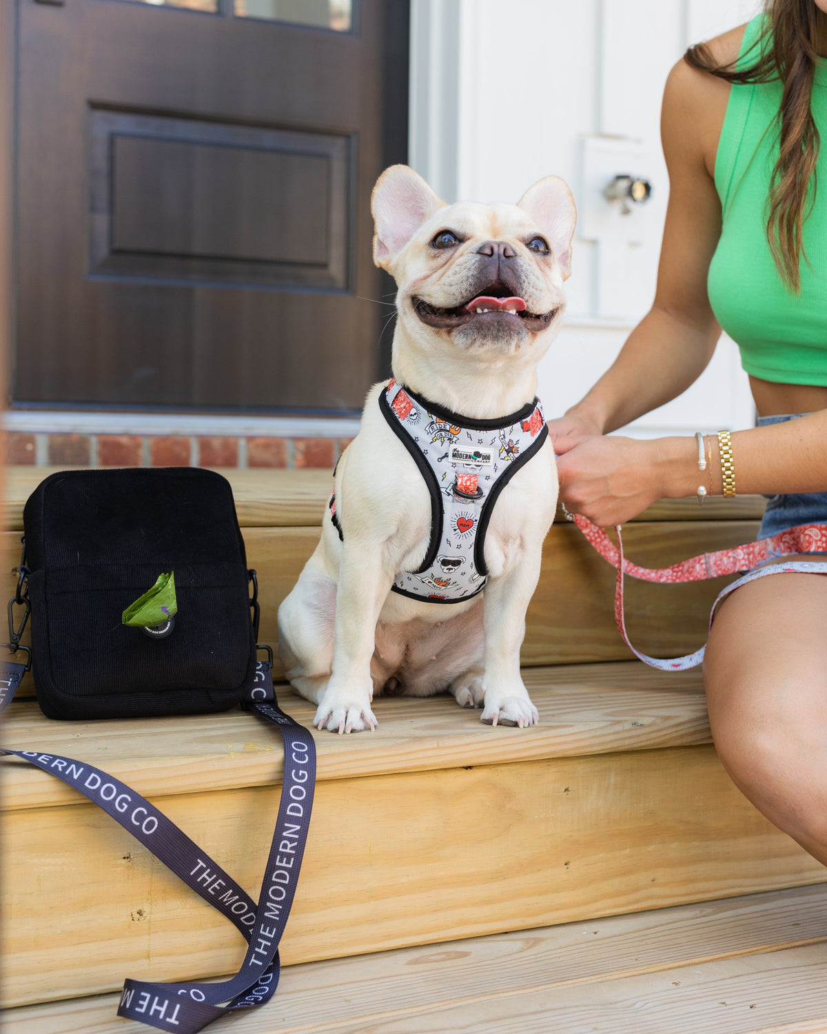 Bad to the Bone — Adjustable Dog Harness