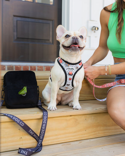 Bad to the Bone — Adjustable Dog Harness