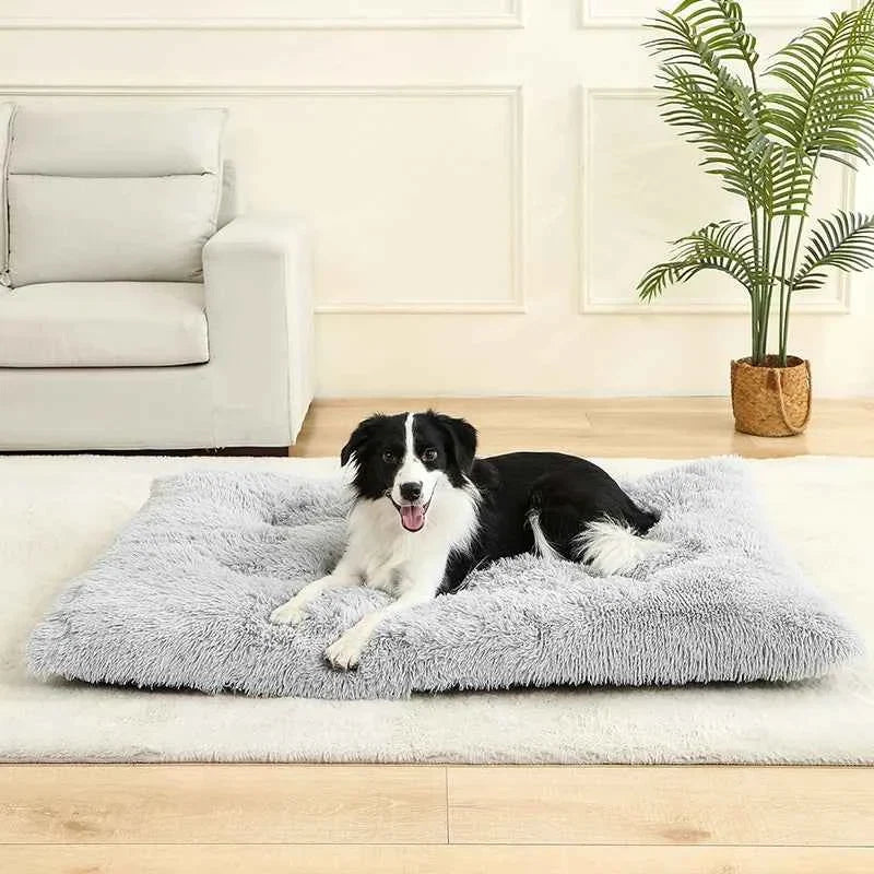 The Commoner’s Nest — Plush Pet Sofa