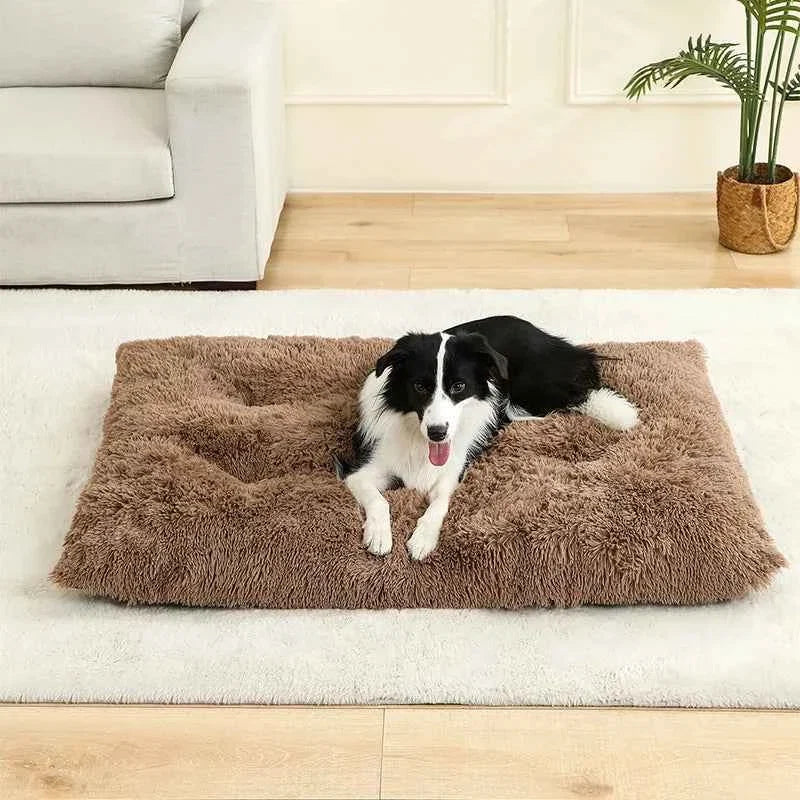 The Commoner’s Nest — Plush Pet Sofa