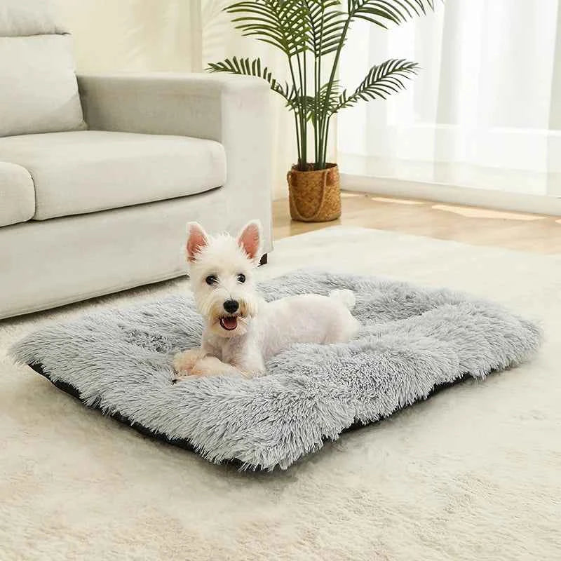The Commoner’s Nest — Plush Pet Sofa