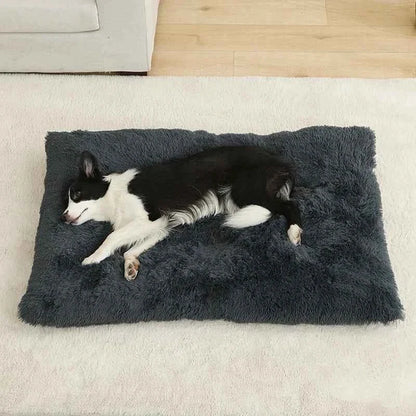 The Commoner’s Nest — Plush Pet Sofa
