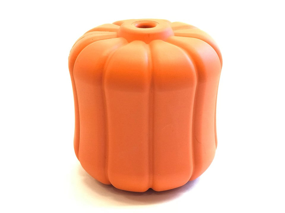 The Jack-o'-Gnawtern — Halloween Treat Toy