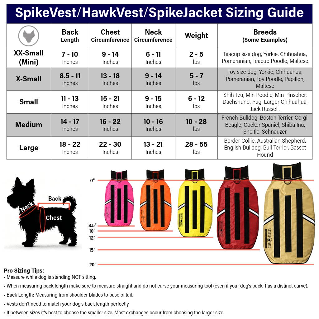 The Armored Familiar — Protective SpikeVest