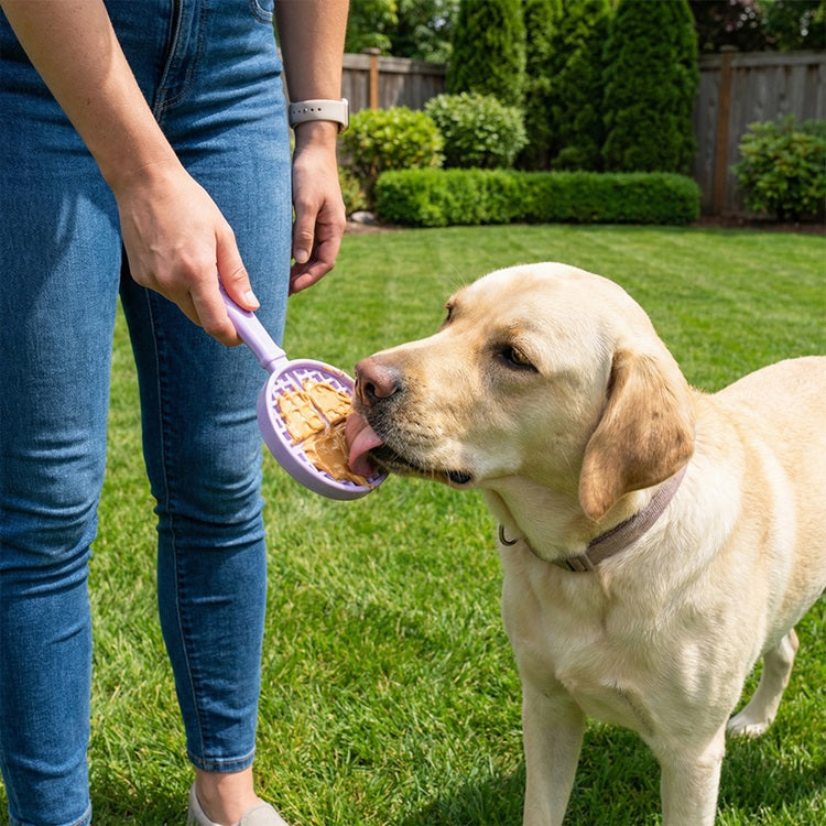 The Distraction Wand — Handheld Lick Toy