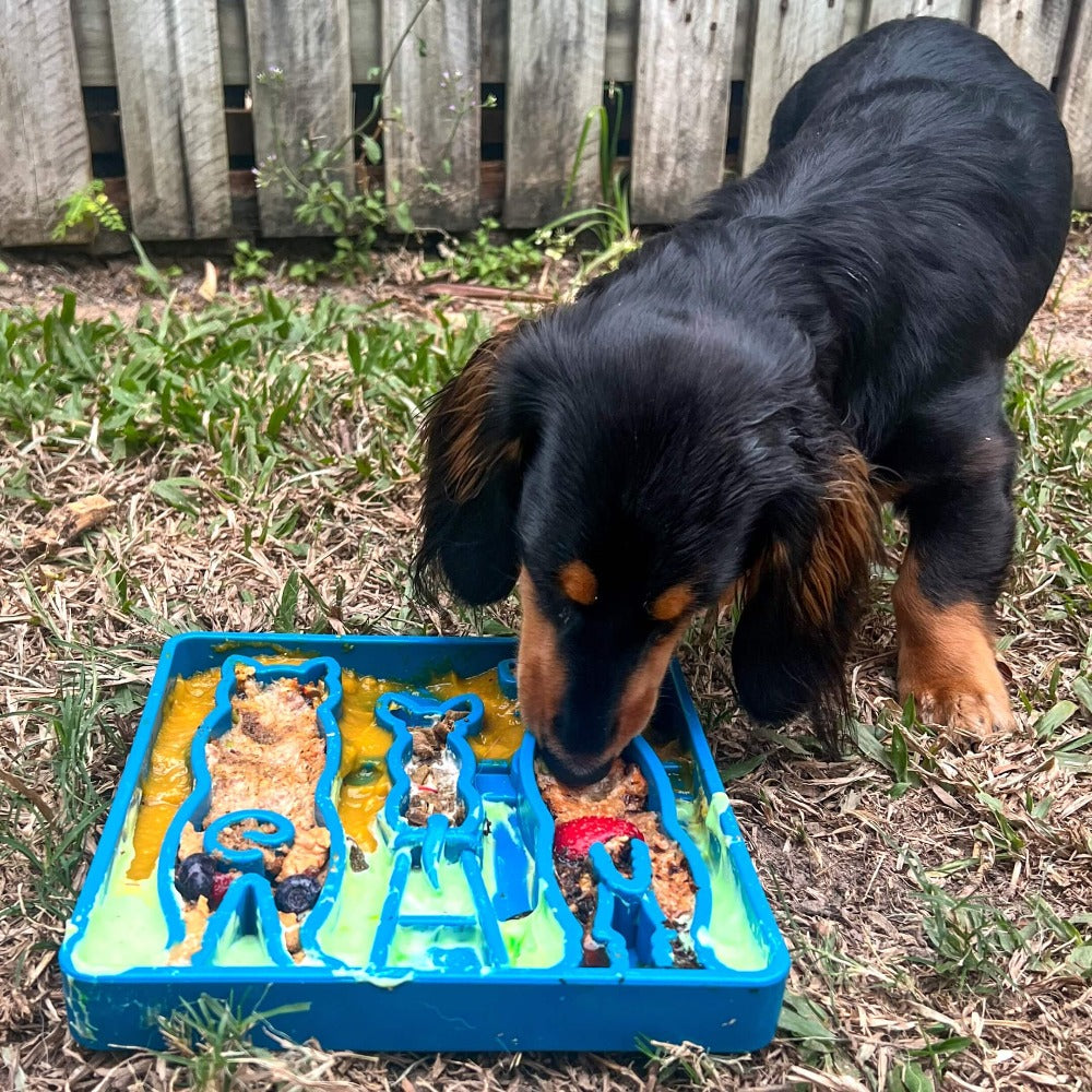 Waiting Dogs eTray Shallow Slow Feeder Bowl