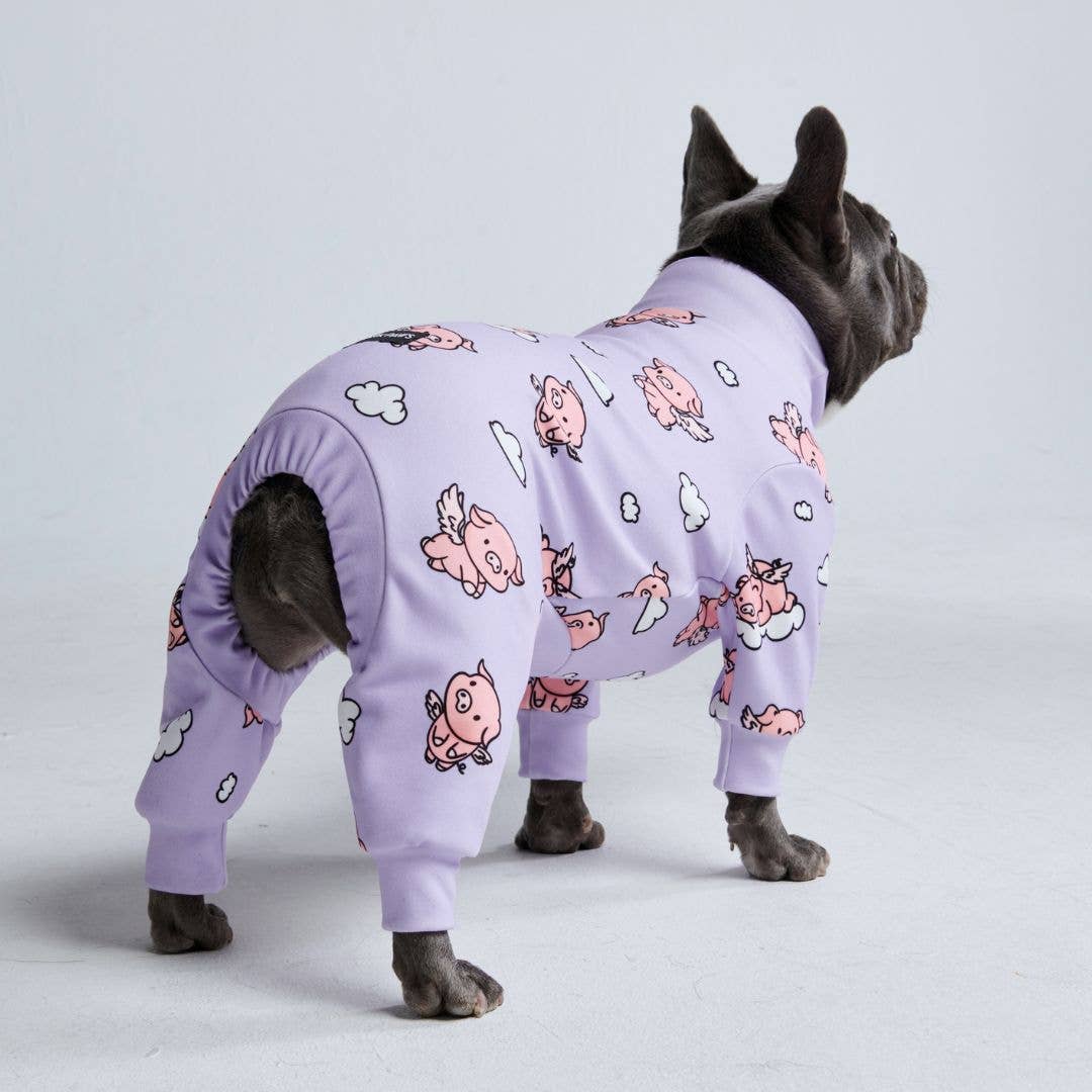 When Pigs Fly Dog Pajamas
