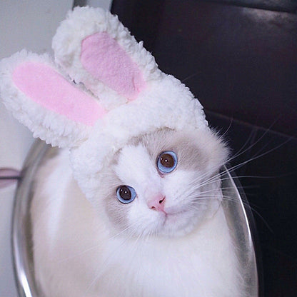 Cartoon Pet Costume Hat