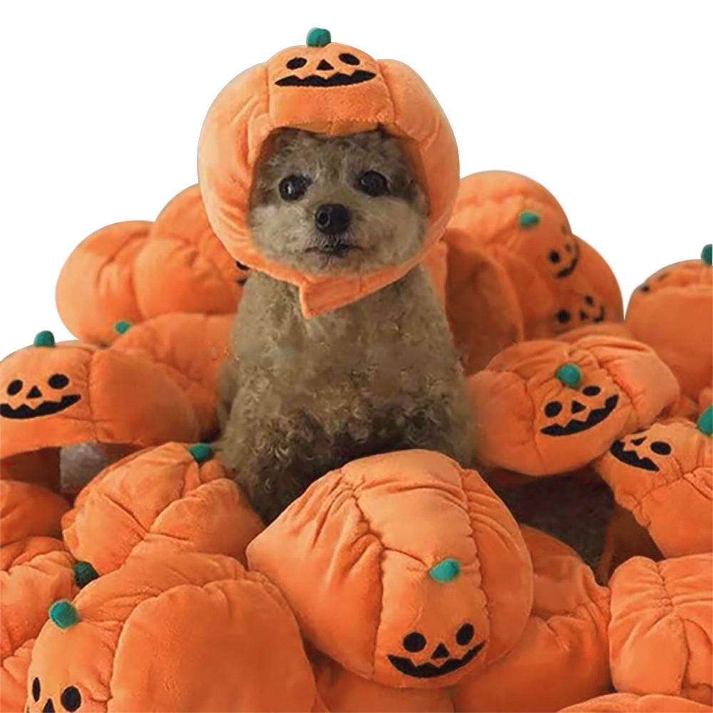 Cartoon Pet Costume Hat