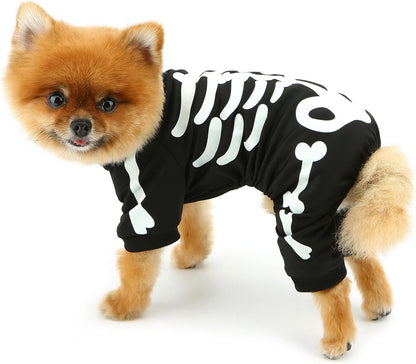 The Glowbone Skeleton Pet Suit