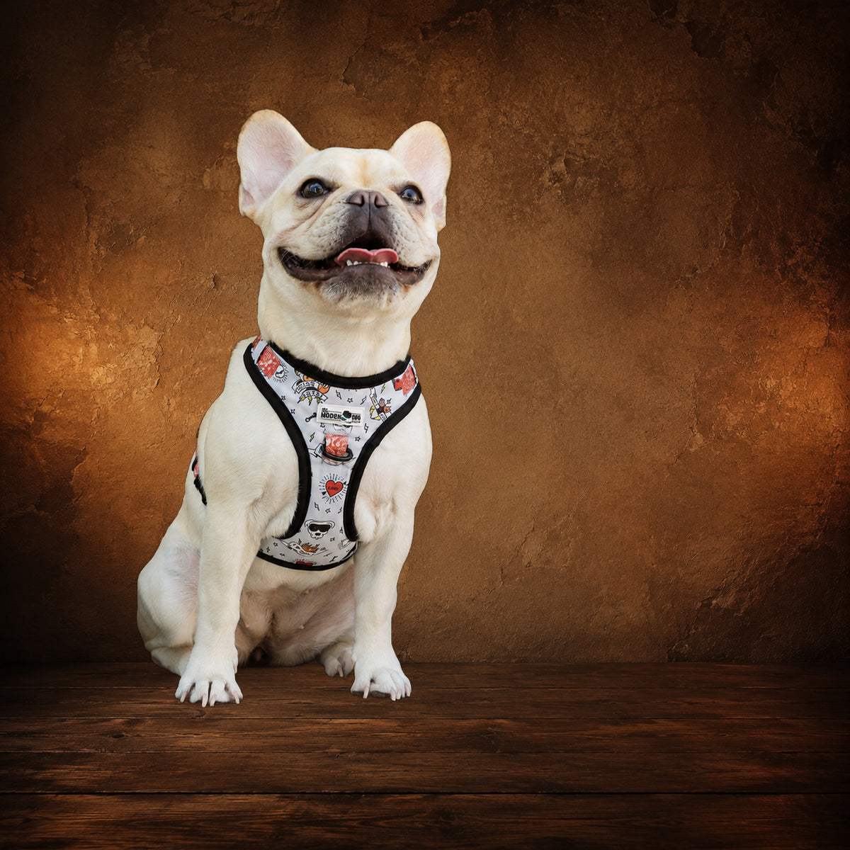 Bad to the Bone adjustable dog harness on an antique Pate’s Pugorium backdrop