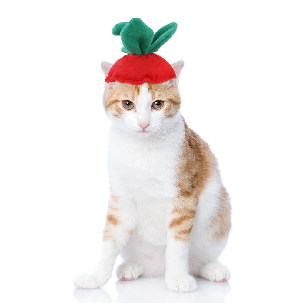Cartoon Pet Costume Hat