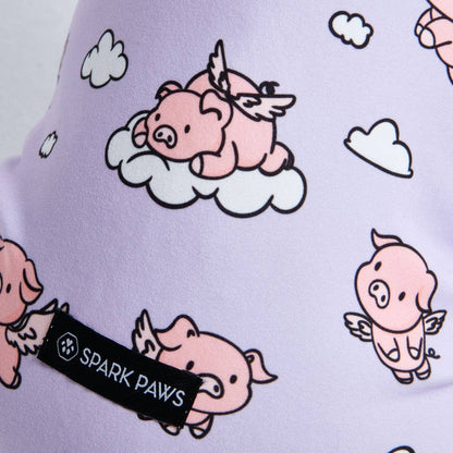 When Pigs Fly Dog Pajamas
