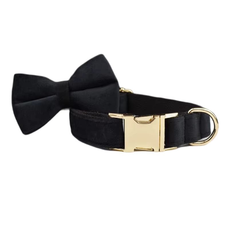 The Midnight Velvet Walking Set