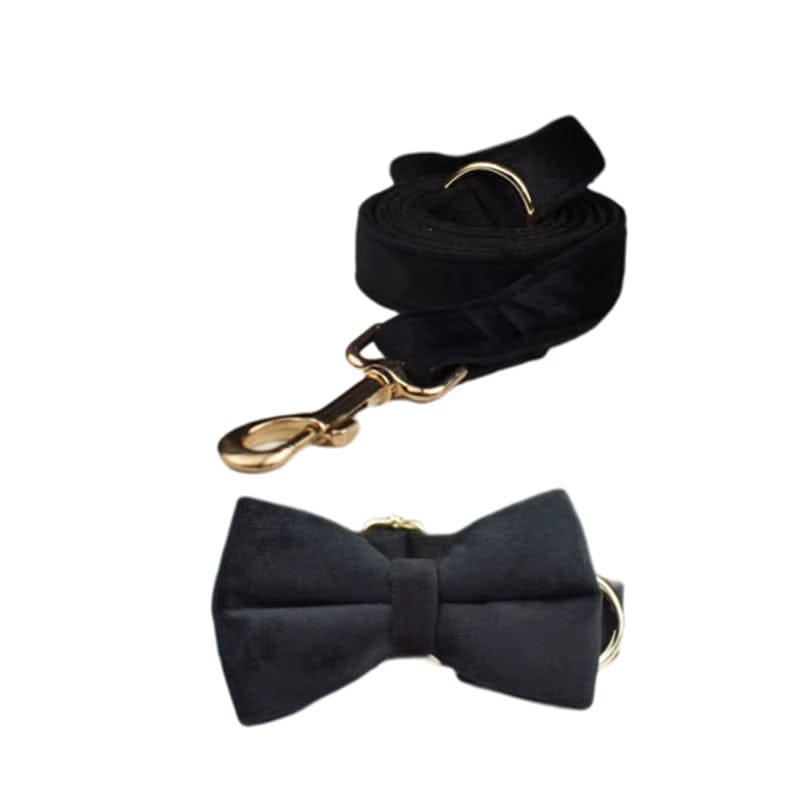 The Midnight Velvet Walking Set