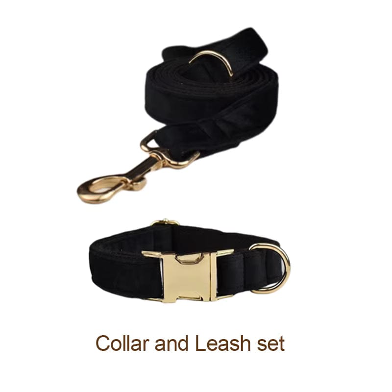 The Midnight Velvet Walking Set