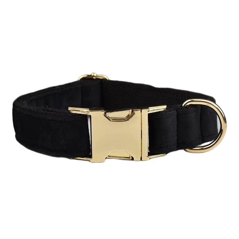 The Midnight Velvet Walking Set
