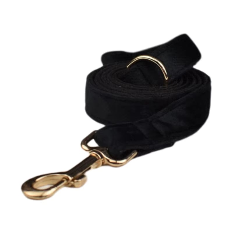 The Midnight Velvet Walking Set