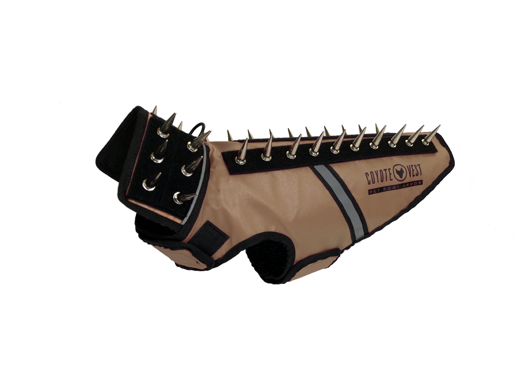 The Armored Familiar — Protective SpikeVest