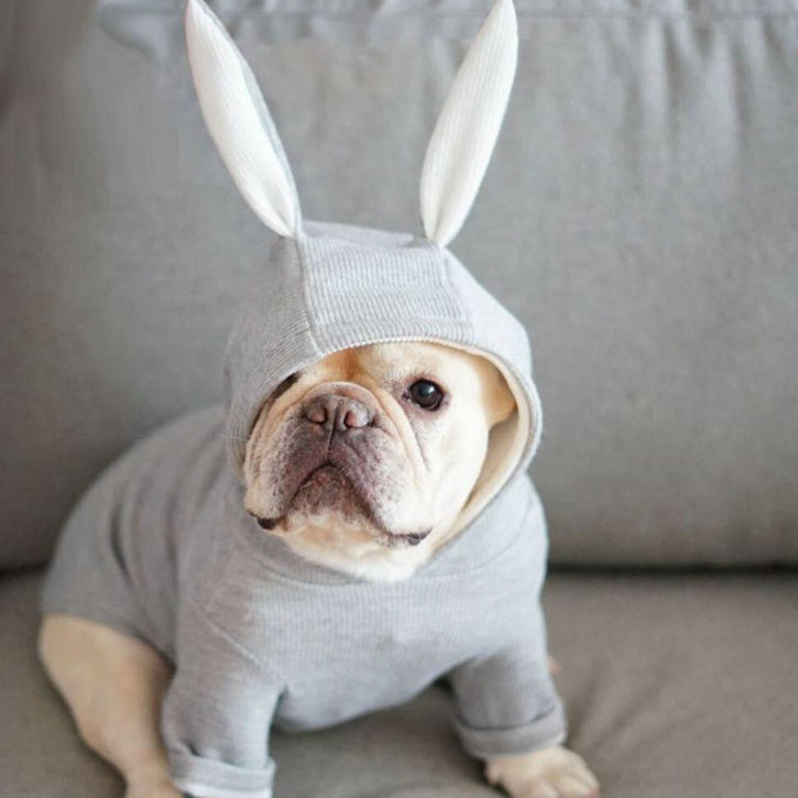 Rabbit Ear Knitted Dog Sweater