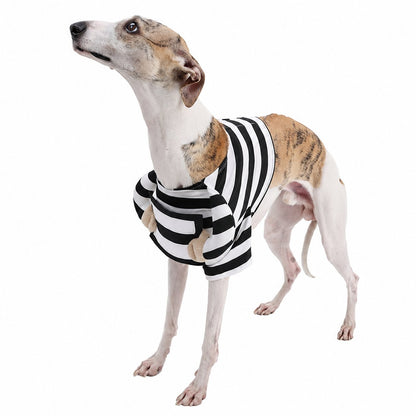 The Striped Mischief — Dog Halloween Costume