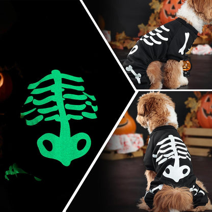 The Glowbone Skeleton Pet Suit