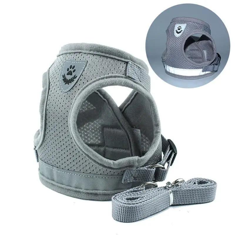 The Night Watch — Reflective Harness & Leash Set
