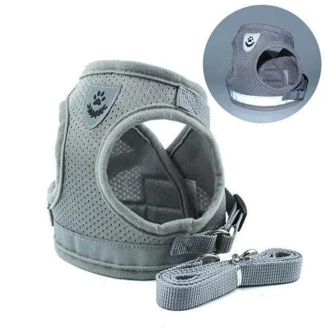 The Night Watch — Reflective Harness & Leash Set