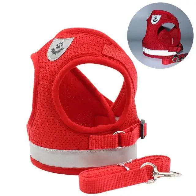 The Night Watch — Reflective Harness & Leash Set