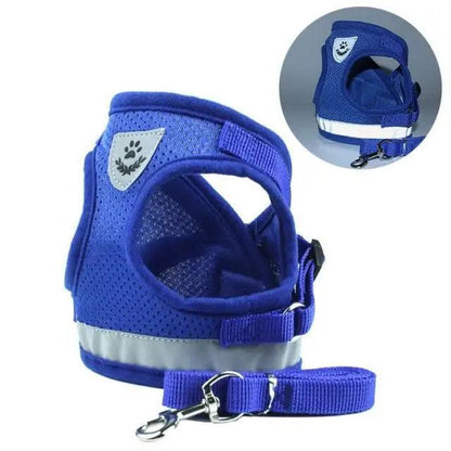 The Night Watch — Reflective Harness & Leash Set