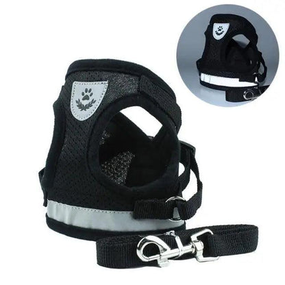 The Night Watch — Reflective Harness & Leash Set