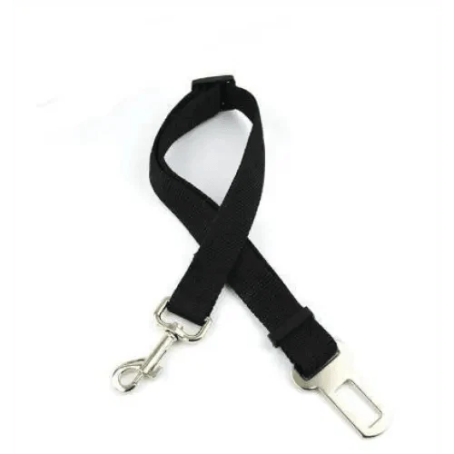 The Night Watch — Reflective Harness & Leash Set