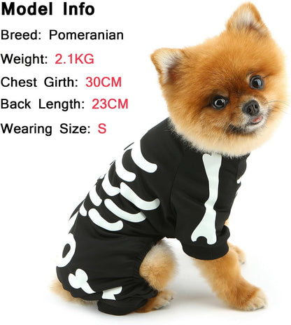 The Glowbone Skeleton Pet Suit